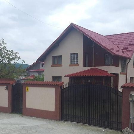 Vila De Vacanta Curtea De Arges Ngoại thất bức ảnh